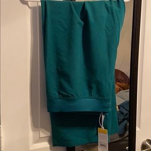 NWT xl hunter green Livingston petite pants